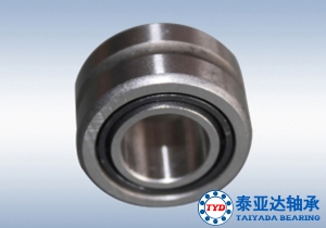 NA4904香蕉网视频